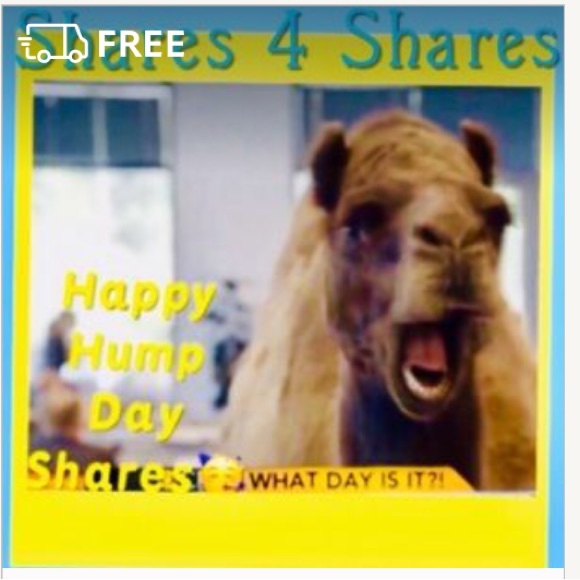 Brand new ZIPPO, lighter, never use refillable, reliable, and windproof - Picture 7 of 14